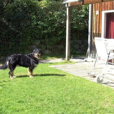 In Mit Garten, Terrasse Und Grill Zandt